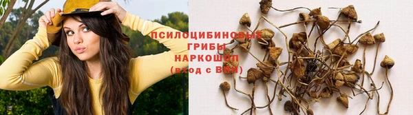 apvp Костерёво