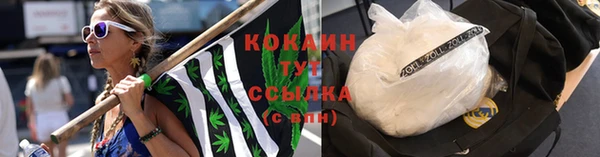 apvp Костерёво