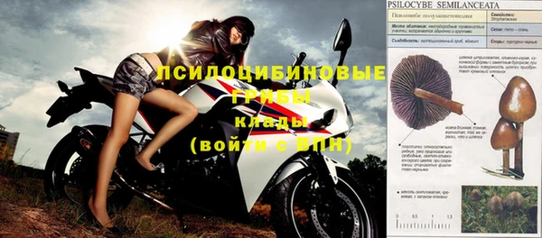 apvp Костерёво