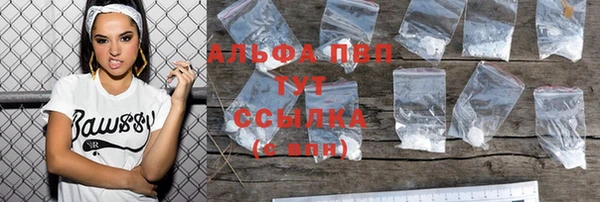 дживик Корсаков