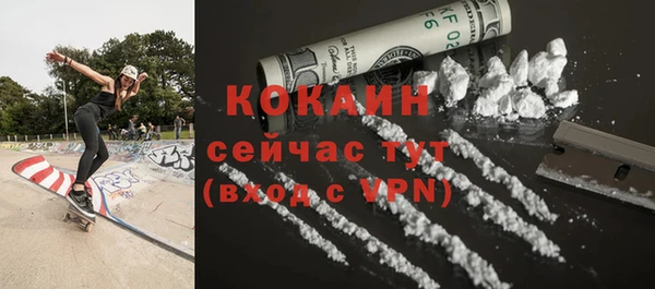 дживик Корсаков