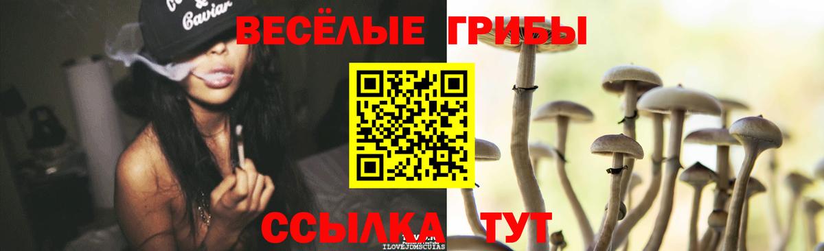 Галлюциногенные грибы GOLDEN TEACHER  Вход с VPN  Тула 